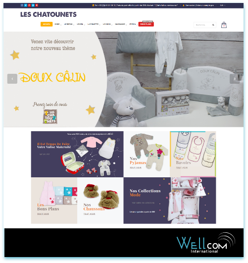 site-vitrine4